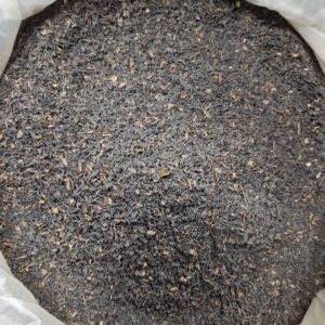 چای ممتاز بهاره لاهیجان