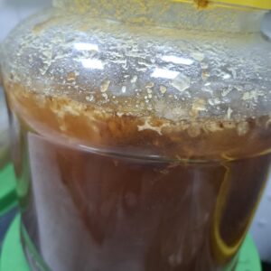 عسل وحشی خالص