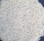 برنج علی کاظمی