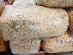 تخمه کدو بی نمک و با نمک - Image 3