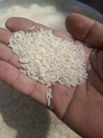 برنج هاشمی ارگانیک گیلان - Image 2